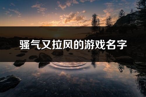 骚气又拉风的游戏名字(共243个)