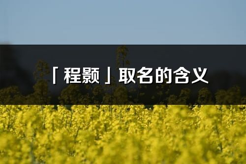 「程颢」取名的含义_程颢名字寓意解释