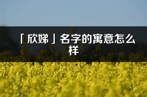 「欣娣」名字的寓意怎么样_欣娣的出处