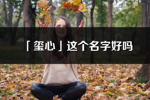 「玺心」这个名字好吗_玺心名字寓意,含义