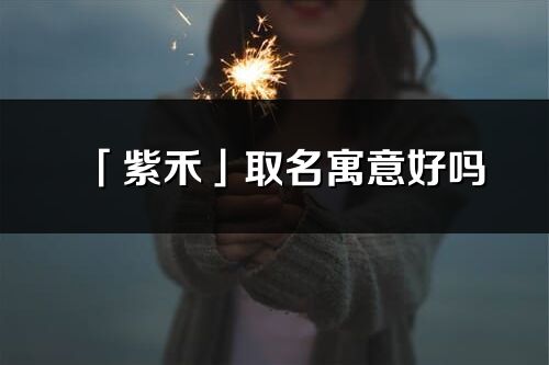 「紫禾」取名寓意好吗_紫禾名字含义及五行