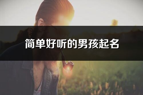 简单好听的男孩起名