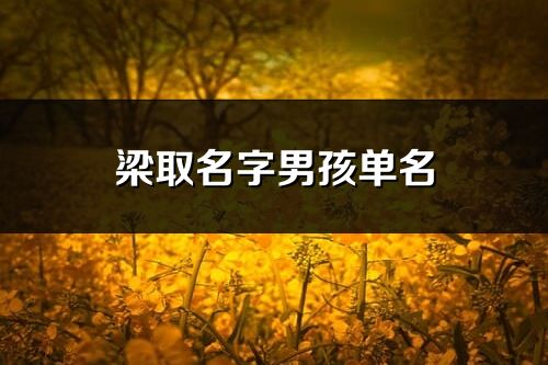 梁取名字男孩单名