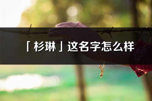 「杉琳」这名字怎么样_杉琳的名字解释