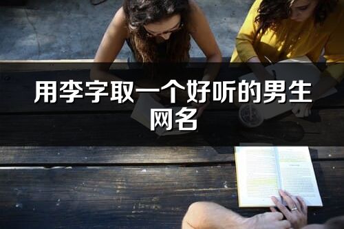 用李字取一个好听的男生网名