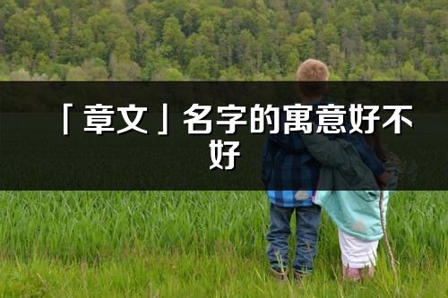 「章文」名字的寓意好不好_章文含义分析