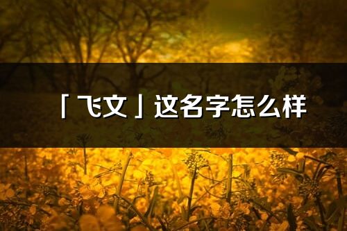 「飞文」这名字怎么样_飞文的名字解释