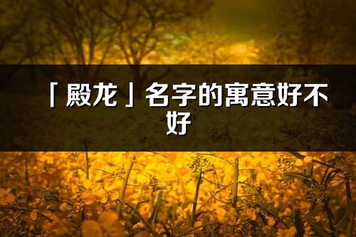 「殿龙」名字的寓意好不好_殿龙含义分析