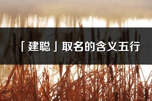 「建聪」取名的含义五行_建聪名字寓意解释