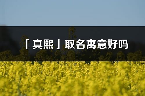 「真熙」取名寓意好吗_真熙名字含义及寓意