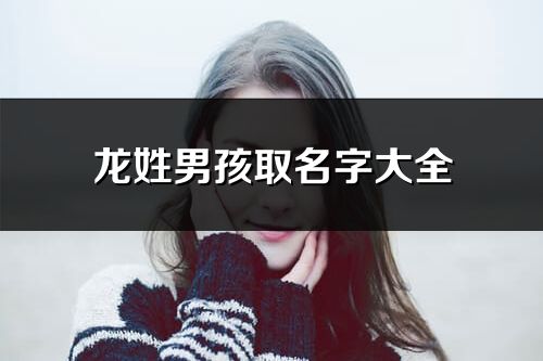 龙姓男孩取名字大全