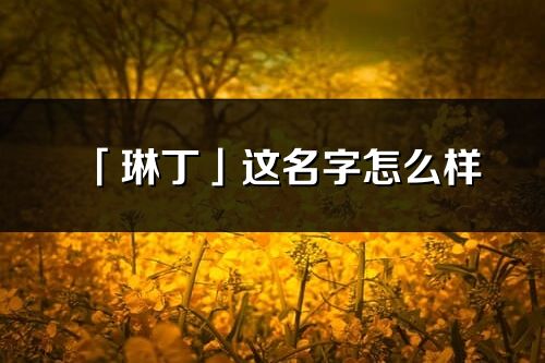 「琳丁」这名字怎么样_琳丁的名字解释