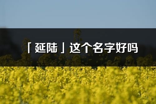 「延陆」这个名字好吗_延陆名字寓意,含义