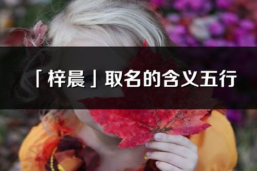 「梓晨」取名的含义五行_梓晨名字寓意解释
