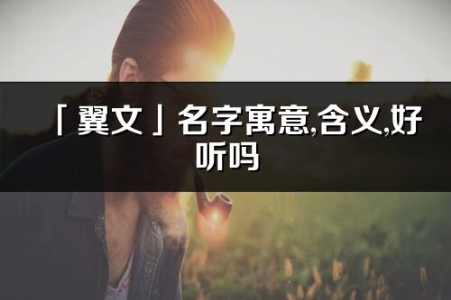 「翼文」名字寓意,含义,好听吗_翼文名字分析打分