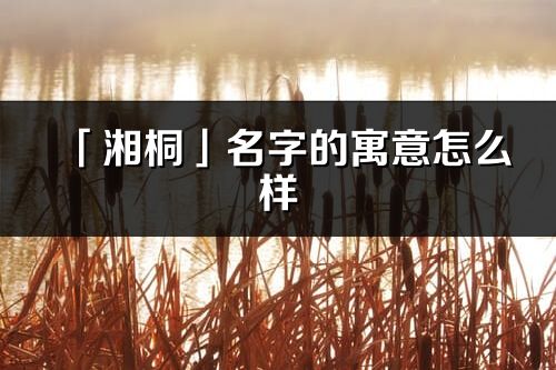 「湘桐」名字的寓意怎么样_湘桐的出处