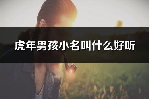 虎年男孩小名叫什么好听