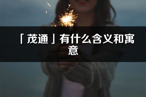 「茂通」有什么含义和寓意_茂通名字的出处与意思