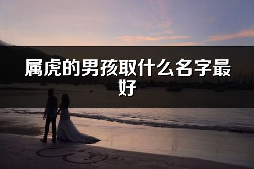 属虎的男孩取什么名字最好
