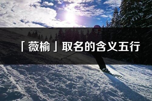 「薇榆」取名的含义五行_薇榆名字寓意解释