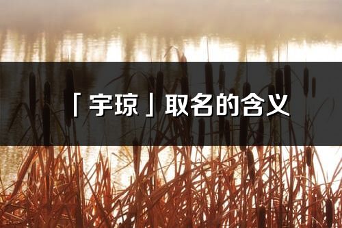 「宇琼」取名的含义_宇琼名字寓意解释