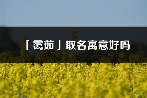 「霭茹」取名寓意好吗_霭茹名字含义及五行