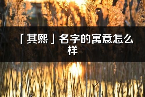 「其熙」名字的寓意怎么样_其熙的出处