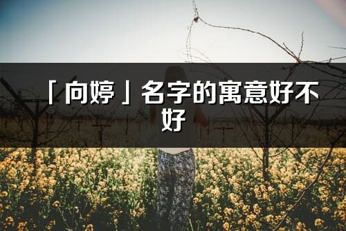 「向婷」名字的寓意好不好_向婷含义分析