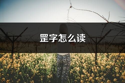 罡字怎么读_罡的读音