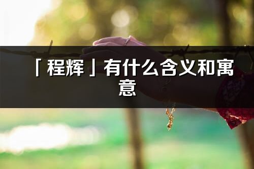 「程辉」有什么含义和寓意_程辉名字的出处与意思