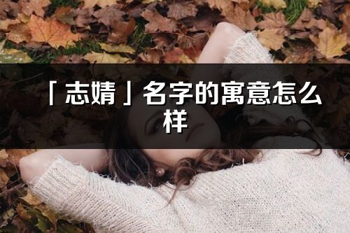 「志婧」名字的寓意怎么样_志婧的出处