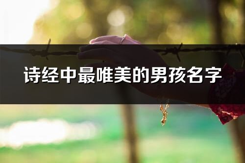 诗经中最唯美的男孩名字