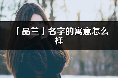 「品兰」名字的寓意怎么样_品兰的出处