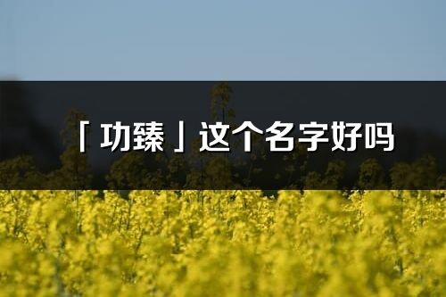 「功臻」这个名字好吗_功臻名字寓意,含义