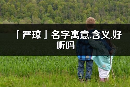 「严琼」名字寓意,含义,好听吗_严琼名字分析打分