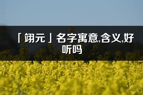 「翊元」名字寓意,含义,好听吗_翊元名字分析打分