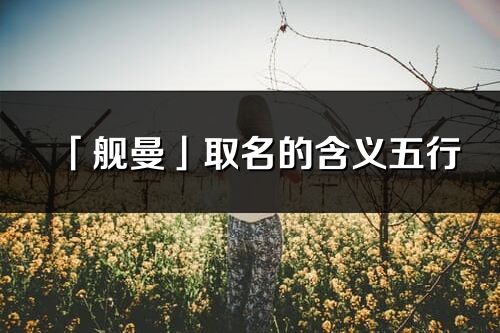 「舰曼」取名的含义五行_舰曼名字寓意解释
