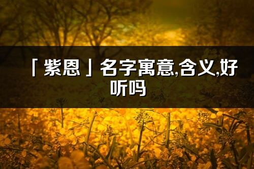 「紫恩」名字寓意,含义,好听吗_紫恩名字分析打分