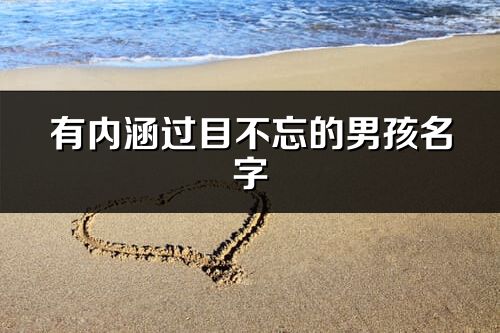 有内涵过目不忘的男孩名字