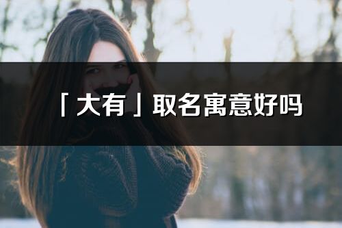 「大有」取名寓意好吗_大有名字含义及寓意