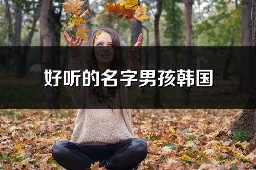 好听的名字男孩韩国