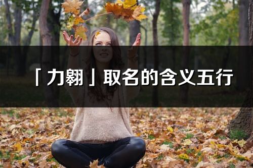 「力翱」取名的含义五行_力翱名字寓意解释