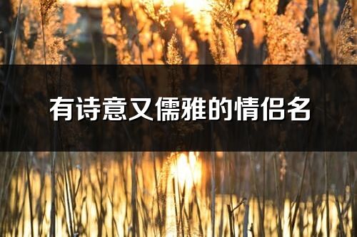 有诗意又儒雅的情侣名(共155个)