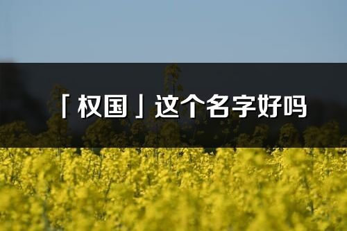 「权国」这个名字好吗_权国名字寓意,含义