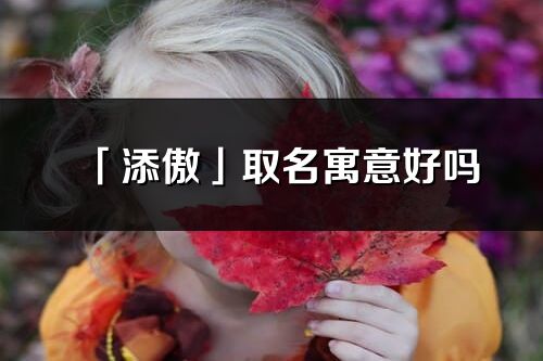 「添傲」取名寓意好吗_添傲名字含义及五行