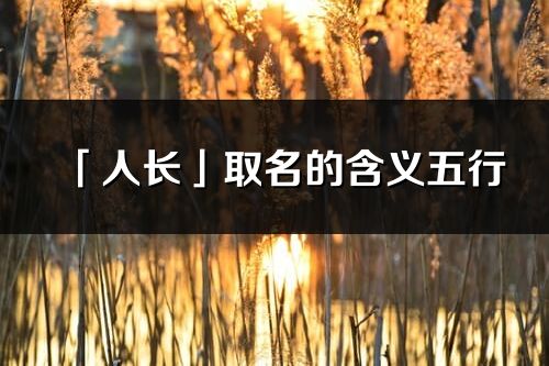 「人长」取名的含义五行_人长名字寓意解释