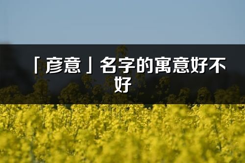 「彦意」名字的寓意好不好_彦意含义分析