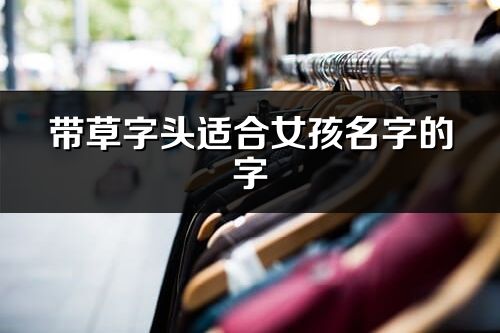 带草字头适合女孩名字的字