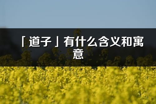 「道子」有什么含义和寓意_道子名字的出处与意思