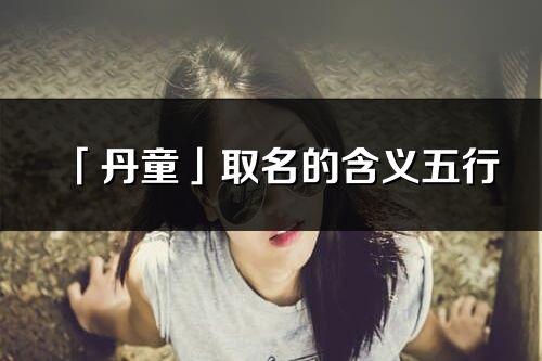 「丹童」取名的含义五行_丹童名字寓意解释